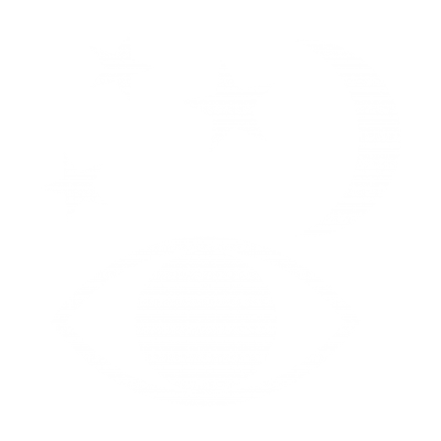 Visión nocturna